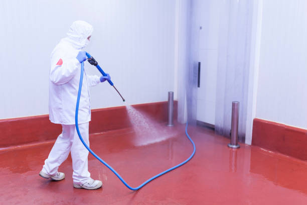 Best Spring Cleaning  in Central High, OK